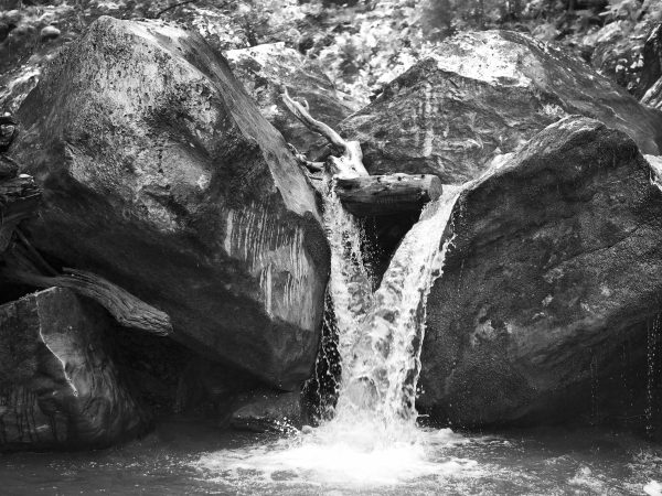 24. Mère nature
