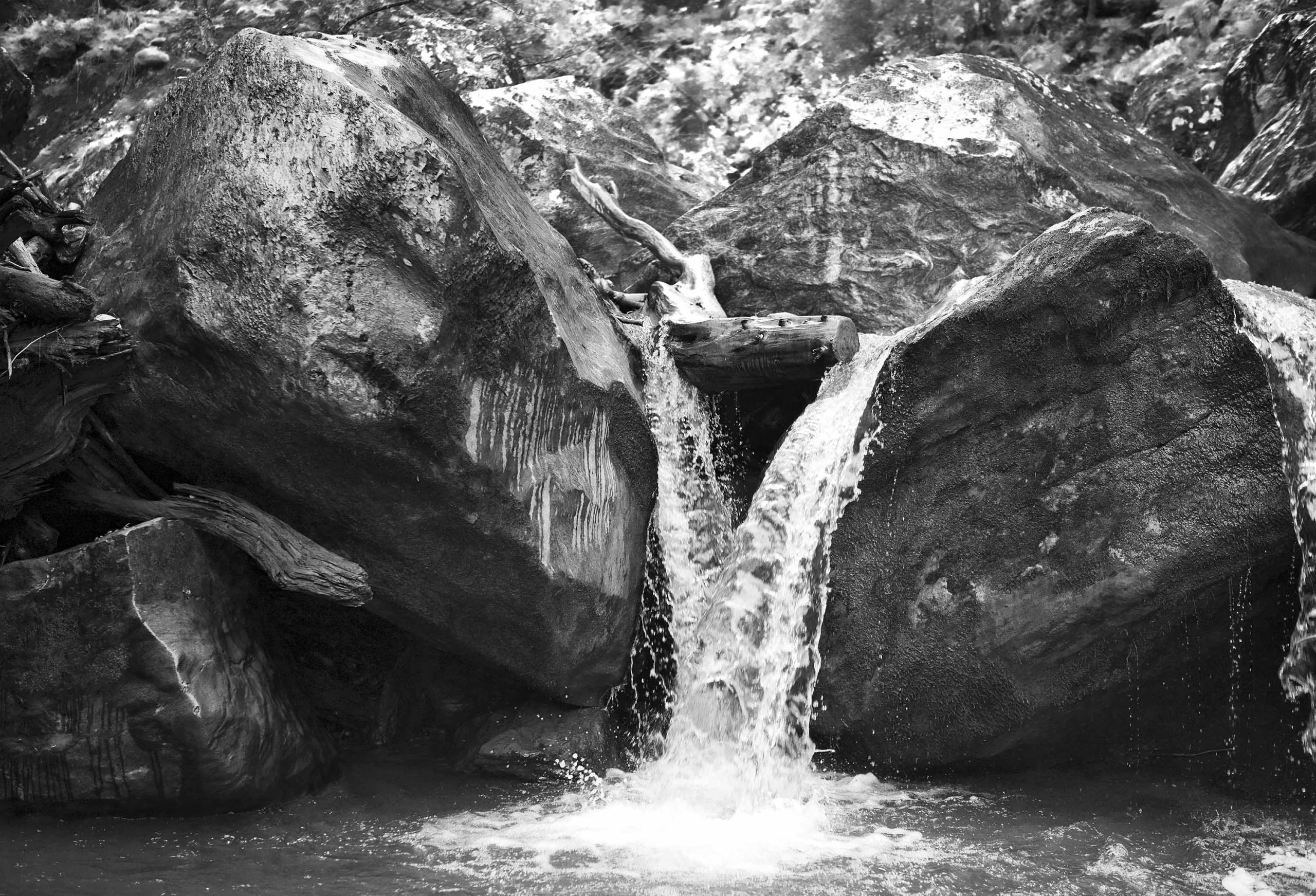 24. Mère nature