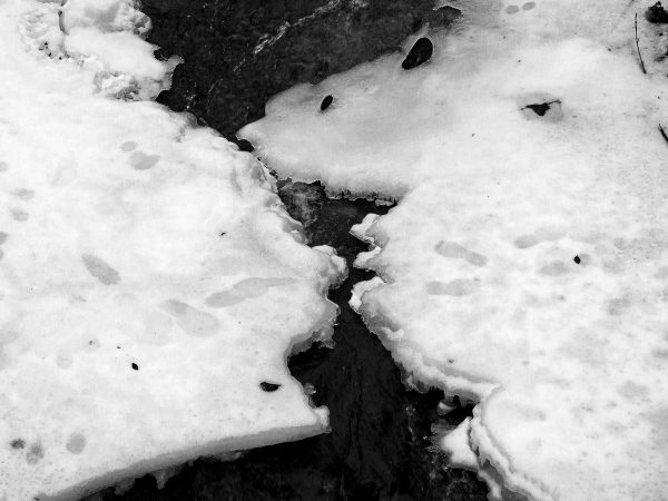 39. Baiser de glace